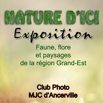 Club Photo MJC Ancerville exposition nature d'ici